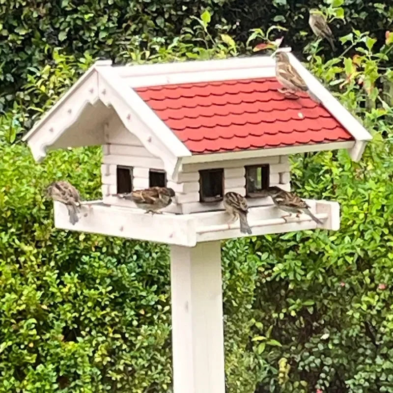 futterhaus-maxi-mit-roten-bitumenschindeln-mit-viel- vogelbesuch futterhaus-maxi-mit-roten-bitumenschindeln-mit-viel- vogelbesuch